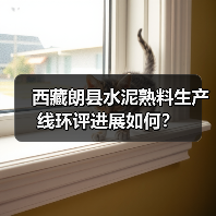 西藏朗县水泥熟料生产线环评进展如何？