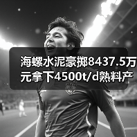 海螺水泥豪掷8437.5万元拿下4500t/d熟料产能(图4) 海螺水泥豪掷8437.5万元拿下4500t/d熟料产能(图4)