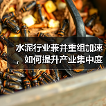 水泥行业兼并重组加速,如何提升产业集中度?(图3) 水泥行业兼并重组加速,如何提升产业集中度?(图3)