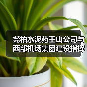 尧柏水泥药王山公司与西部机场集团建设指挥部交流合作（图4）