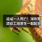 造成一人死亡!深圳某项目工地发生一起起重伤害事故(图4) 造成一人死亡!深圳某项目工地发生一起起重伤害事故(图4)