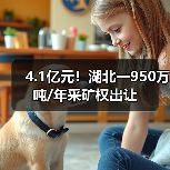 4.1亿元!湖北一950万吨/年采矿权出让(图3) 4.1亿元!湖北一950万吨/年采矿权出让(图3)