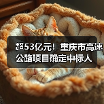 超53亿元!重庆市高速公路项目确定中标人(图2) 超53亿元!重庆市高速公路项目确定中标人(图2)