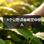 4个公路项目确定中标人(图4) 4个公路项目确定中标人(图4)