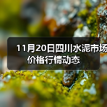 11月20日四川水泥市场价格行情动态（图4）