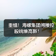 重组!海螺集团间接控股皖维高新!(图3) 重组!海螺集团间接控股皖维高新!(图3)