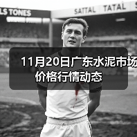 11月20日广东水泥市场价格行情动态(图4) 11月20日广东水泥市场价格行情动态(图4)