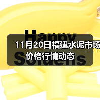11月20日福建水泥市场价格行情动态(图4) 11月20日福建水泥市场价格行情动态(图4)
