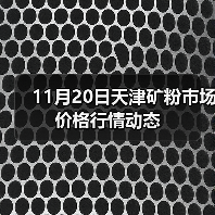 11月20日天津矿粉市场价格行情动态(图2) 11月20日天津矿粉市场价格行情动态(图2)
