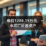 底价1286.19万元，一水泥厂处置资产（图4）