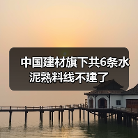 中国建材旗下共6条水泥熟料线不建了(图2) 中国建材旗下共6条水泥熟料线不建了(图2)