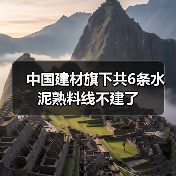 中国建材旗下共6条水泥熟料线不建了(图3) 中国建材旗下共6条水泥熟料线不建了(图3)