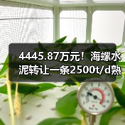 4445.87万元!海螺水泥转让一条2500t/d熟料线及旗下资产(图3) 4445.87万元!海螺水泥转让一条2500t/d熟料线及旗下资产(图3)