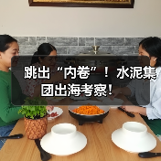 跳出“内卷”！水泥集团出海考察！（图4）