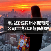黑龙江省宾州水泥有限公司二线SCR超低排放改造项目招标