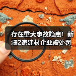 存在重大事故隐患!新疆2家建材企业被处罚(图3) 存在重大事故隐患!新疆2家建材企业被处罚(图3)