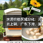 水泥价格区域分化：河北上调，广东下滑，冀中南跟进（图3）