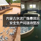 内蒙古水泥厂隐患频出,安全生产问题待整改(图2) 内蒙古水泥厂隐患频出,安全生产问题待整改(图2)
