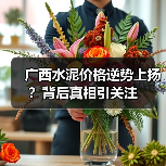 广西水泥价格逆势上扬？背后真相引关注（图2）
