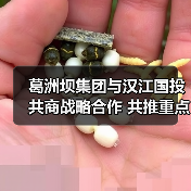 葛洲坝集团与汉江国投共商战略合作 共推重点工程共赢发展(图2) 葛洲坝集团与汉江国投共商战略合作 共推重点工程共赢发展(图2)