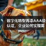 数字化转型再添AAA级认证,企业如何实现高效管理?(图3) 数字化转型再添AAA级认证,企业如何实现高效管理?(图3)