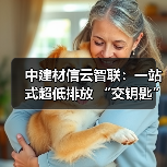 中建材信云智联：一站式超低排放 “交钥匙” 方案，信云智联与行业共赴绿色转型新征程（图2）