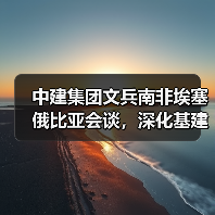 中建集团文兵南非埃塞俄比亚会谈,深化基建合作推动中非发展(图2) 中建集团文兵南非埃塞俄比亚会谈,深化基建合作推动中非发展(图2)