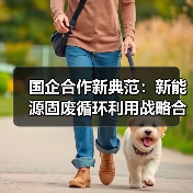 国企合作新典范：新能源固废循环利用战略合作启航（图3）