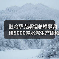 驻哈萨克斯坦总领事调研5000吨水泥生产线项目（图3）