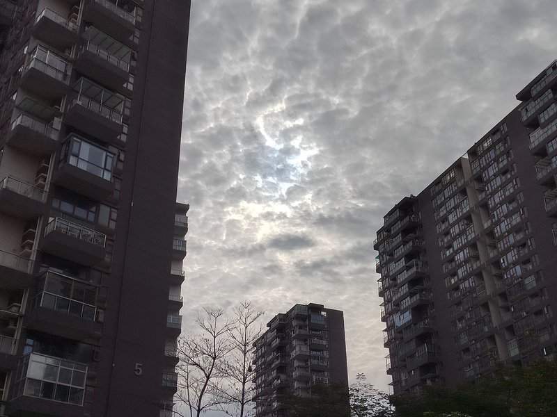 墙面刷漆要刷3层,入住只需7天,没想到比墙布省这么多(图1) 墙面装修材料选择:乳胶漆与墙布的对比